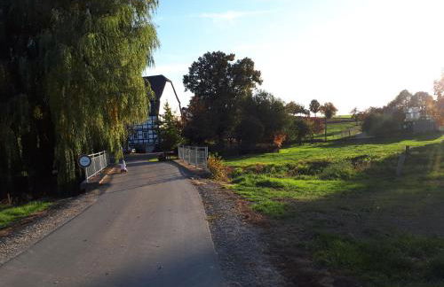 Ferienhof Papiermühle - Foto 4