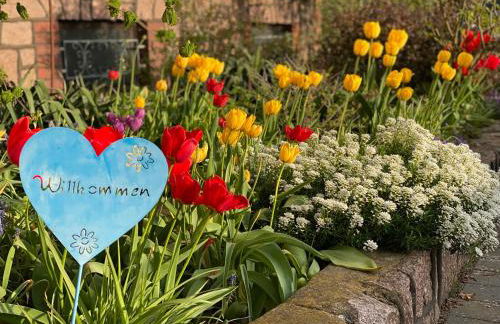 Ferienhaus Spreewald - Foto 21