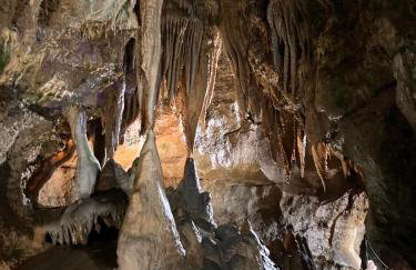 Haus am Mühlbach in Götzendorf - Foto 51