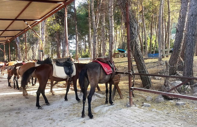 Pine Village Bungalows Ölüdeniz - Foto 21