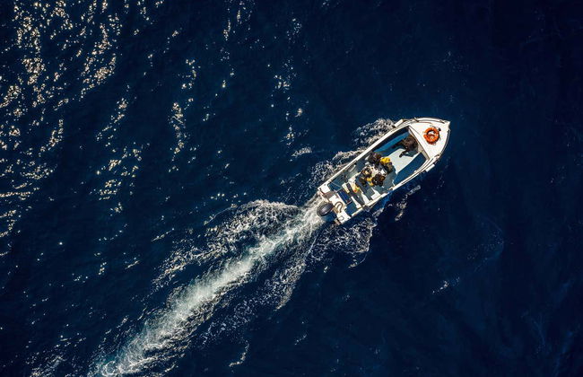 Faro Dolphin Watching Tour - Photo 9