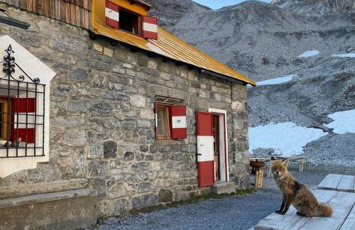 CAMERE Panorama relax garden With Free Parking - Foto 46