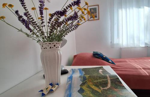 Sielanka Wydmy i Las - Foto 9