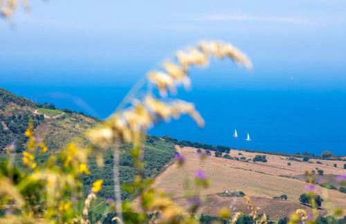 Il Panorama Housing Cilento - Foto 27