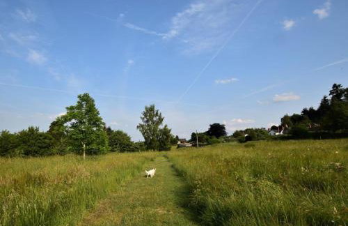 1 Bed in Presteigne oc-55285 - Foto 16