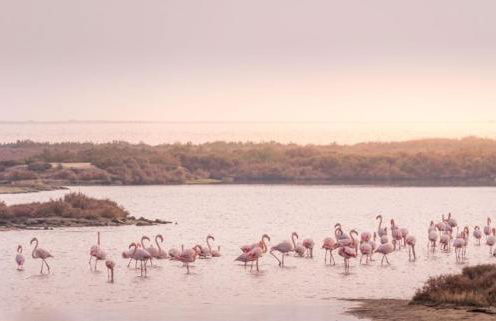 Apartamento a 300 mts de la playa, 25 minutos de Port Aventura y 50 de Barcelona - Foto 26