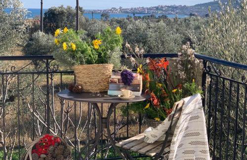 Anastasios Olive Garden Apartments - Foto 15