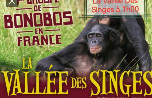 Gîte de charme dans un cadre calme et reposant - Foto 23