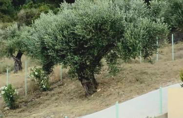 Phileo Villas - Foto 26