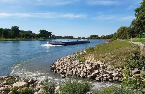 Apartment mit Innenhof, Rasen und Parkplatz - Photo 8