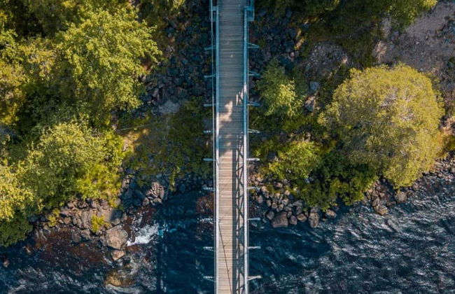 Trilha por Vikaköngäs - Foto 4