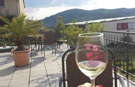 Weingut & Gästehaus Andreas Erz - Foto 17