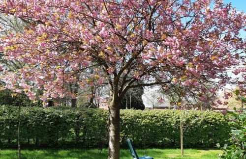 Nordseeferienhaus-Alma - Foto 16