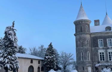Château Doré les Tours - Appartement Loup - Proche Puy du Fou - Foto 55