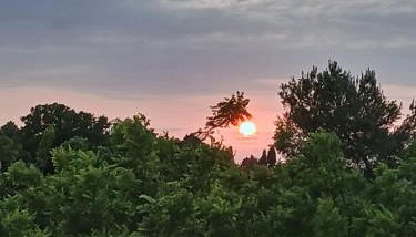 Garden Relax - Foto 4