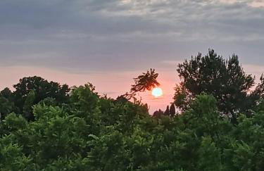 Garden Relax - Foto 4