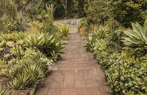 Bastion del Drago - Foto 5