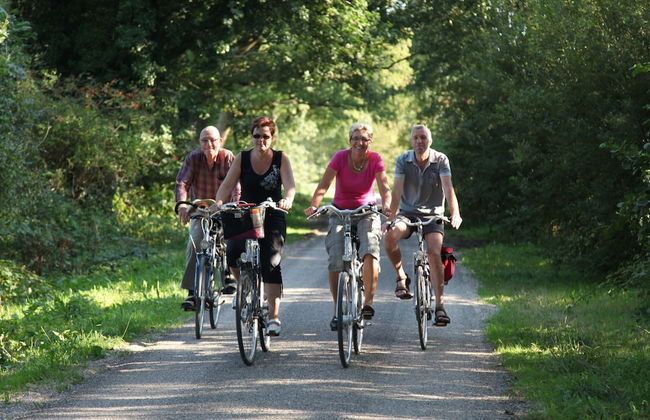 Family Retreat With Garden - Foto 29