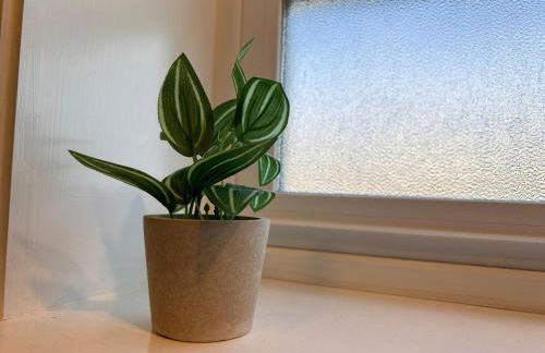 San Francisco 3BR3BA w free parking near airport - Foto 35