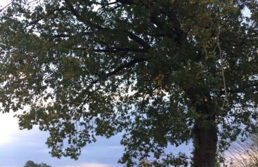 Casavacanze Da Cri - Foto 18