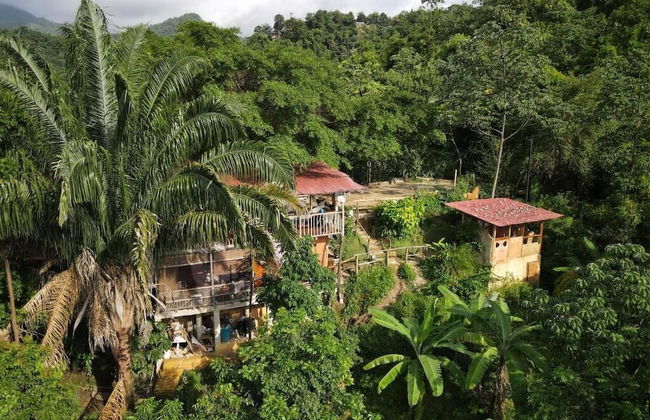 Sol de minca - Photo 1