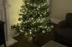 Collingwood House Tynemouth - Foto 3