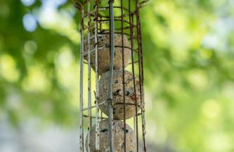 Casa Il Nocciolo - Foto 51