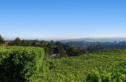 Crest Estate by Stay Awhile Villas - Foto 59