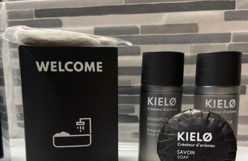 Dalikyda - Le refuge vert étoilé - Gare - Central - Foto 21