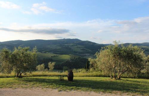 Tenuta il Poggetto - Foto 37