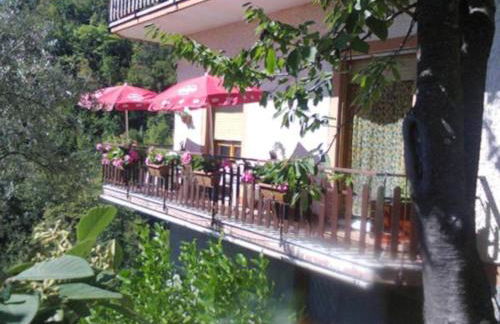 La Margherita di Teriasca - Foto 1