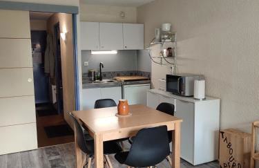 Pla d' Adet, appart 4 personnes Résidence le Grand Stemm , station de ski Saint Lary , pieds des pistes et randonnées - Photo 13