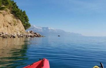 Waterview Apartments - Koru Apartment and pool - Photo 44