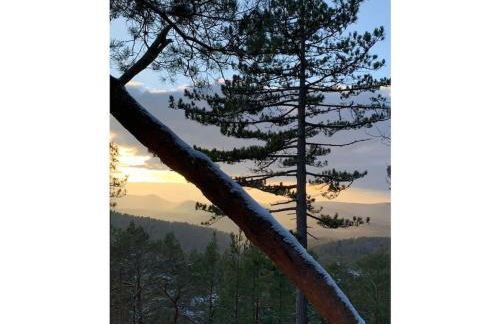 Haus am Kirchberg in Vita Garden - Foto 31