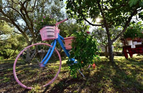 Countryside Studio Apartment Valentina - Foto 11