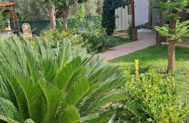 Bill's Garden Villa - Foto 45