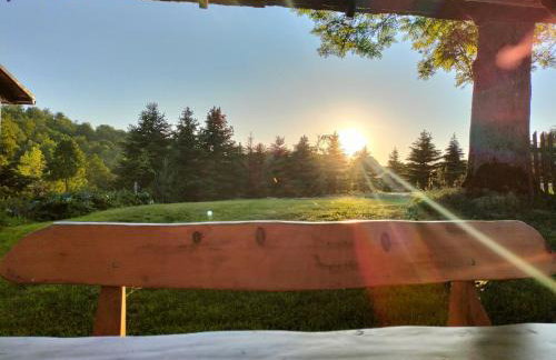 Agroturystyka U Anny - Foto 14