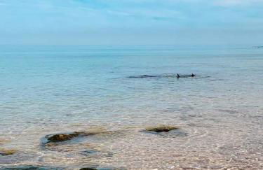 A-marè - CasaVacanza - Photo 25