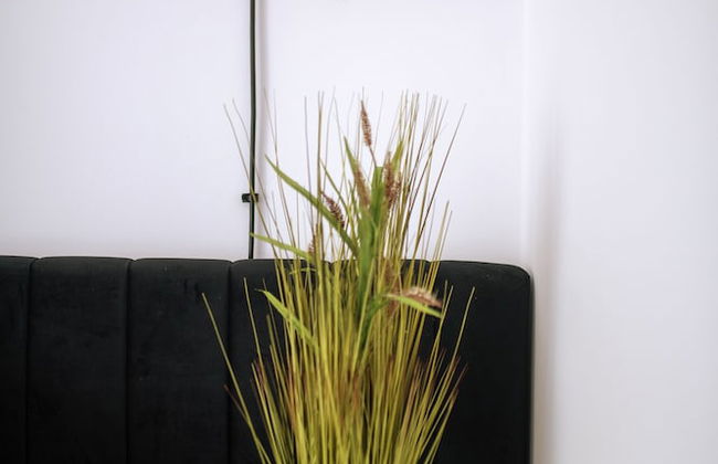 EASY RENT Apartments - Smart 005 - Photo 9