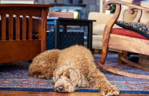 Charming Vacation Rental in the Heart of South Park near Fairplay, Colorado - Foto 10