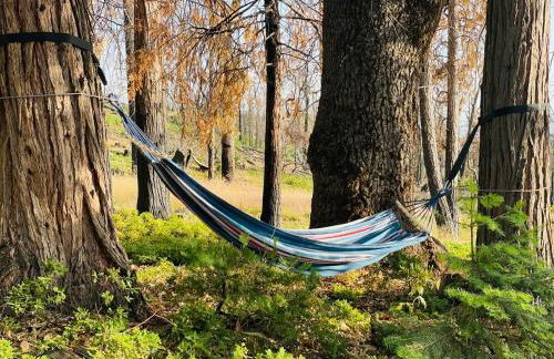 Shaver Lake, 4 BDR HOT TUB Misty Mountain Retreat - Photo 16