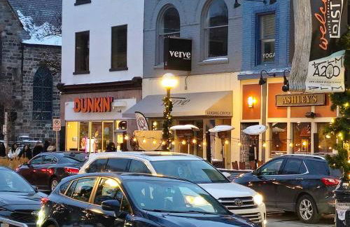 Ann Arbor Downtown Access - Walk to Stadium, Major Hospitals & Restaurants - Photo 41