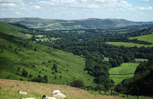 Cotton Cottage - Foto 14