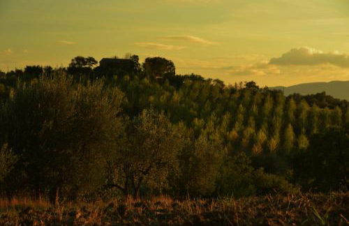 Agriturismo La Casetta del Sole - Photo 35