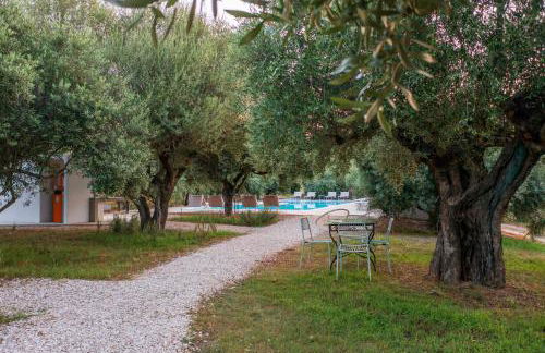 Armandiola - Foto 44