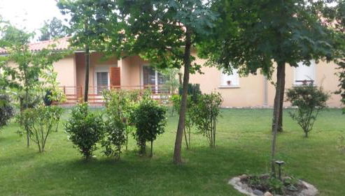 Le Rouge-gorge du Pescofi - Photo 3, Garden