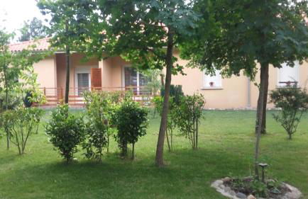 Le Rouge-gorge du Pescofi - Photo 3