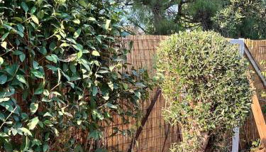 Ancient Pydna Paradise - Foto 5