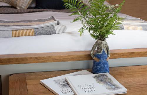 Dol Y Mynydd The Mountain Meadow - Cottage - Photo 8