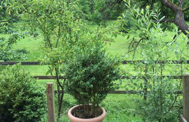 Landhaus am Deich - Foto 16